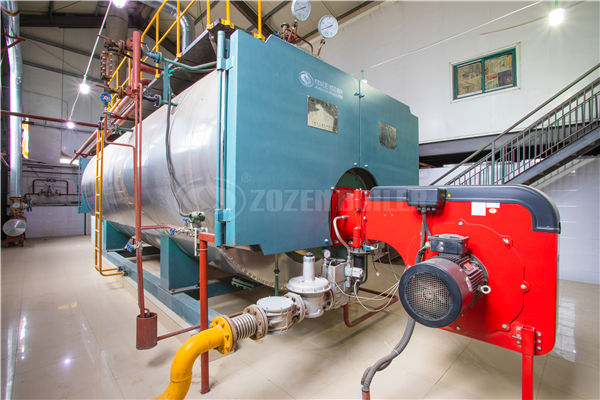 DZL燃氣蒸汽鍋爐價格貴嗎